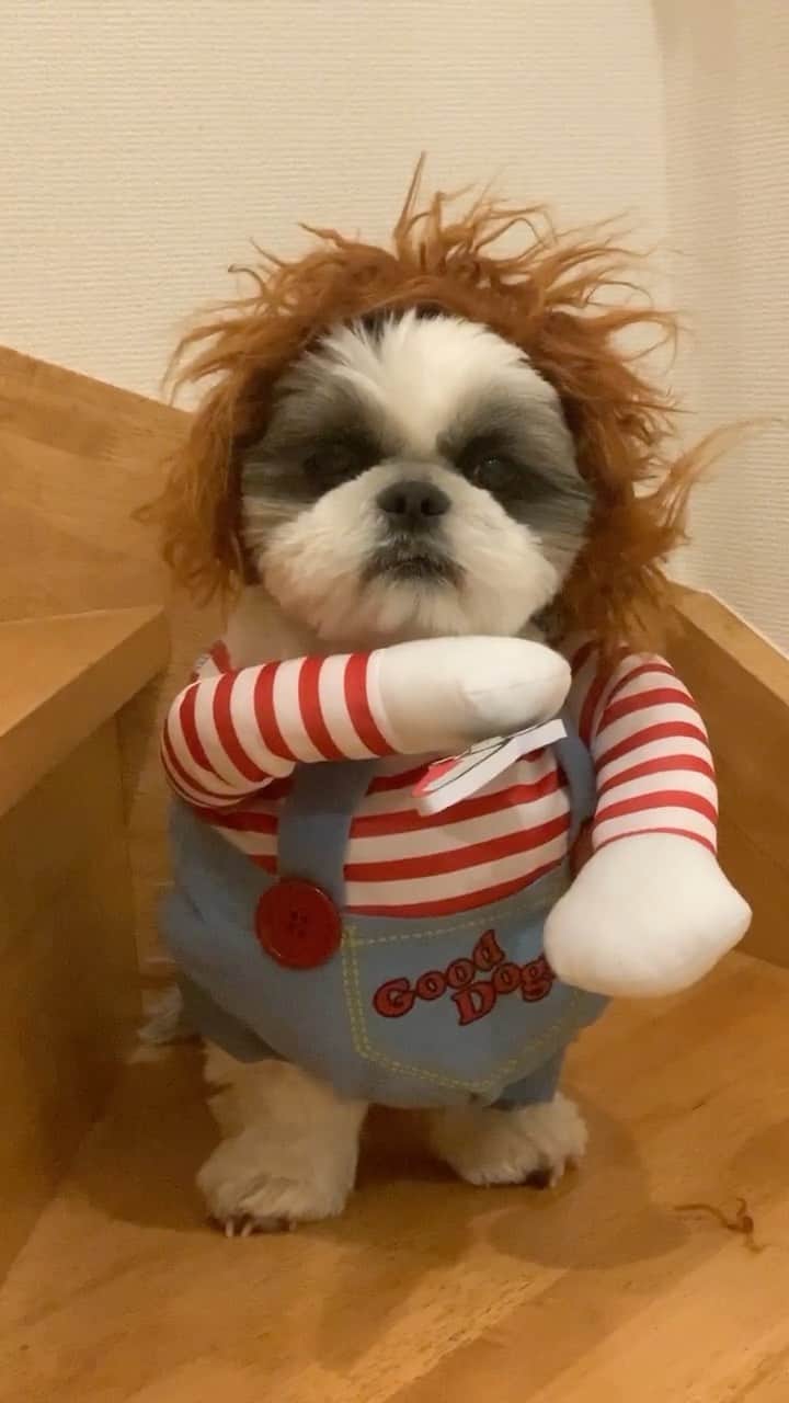 いくらのインスタグラム