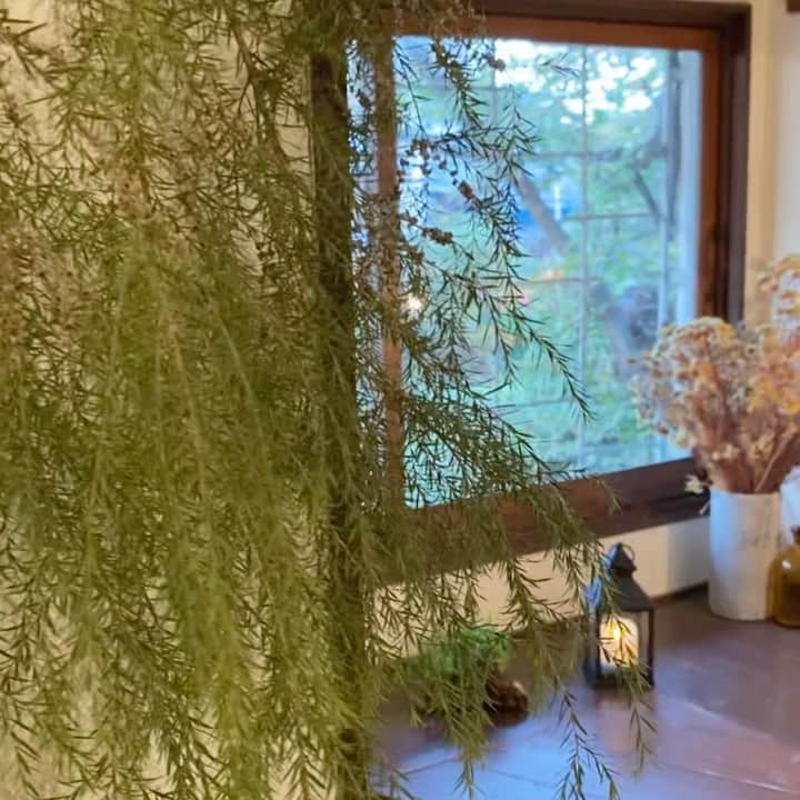cafezakkagallery-flagのインスタグラム：「▪︎ FLAGの中▪︎ ぼんやりと撮ってみました。 写真と違って雰囲気が面白くて 色々撮っていきたいと思いました。  10/23(金)ギャラリー最終日です。 16:00までぜひお楽しみ下さいませ。  「明心工房の器展」  10/6-10/23まで 11:30 ～ 17:00 最終日16:00まで  在廊日 最終23日 12:30〜16:00  #cafeFLAG #cafezakkagalleryflag  #明心工房  #器 #大阪カフェ巡り #大阪カフェ #枚方市 #ギャラリー #陶器」