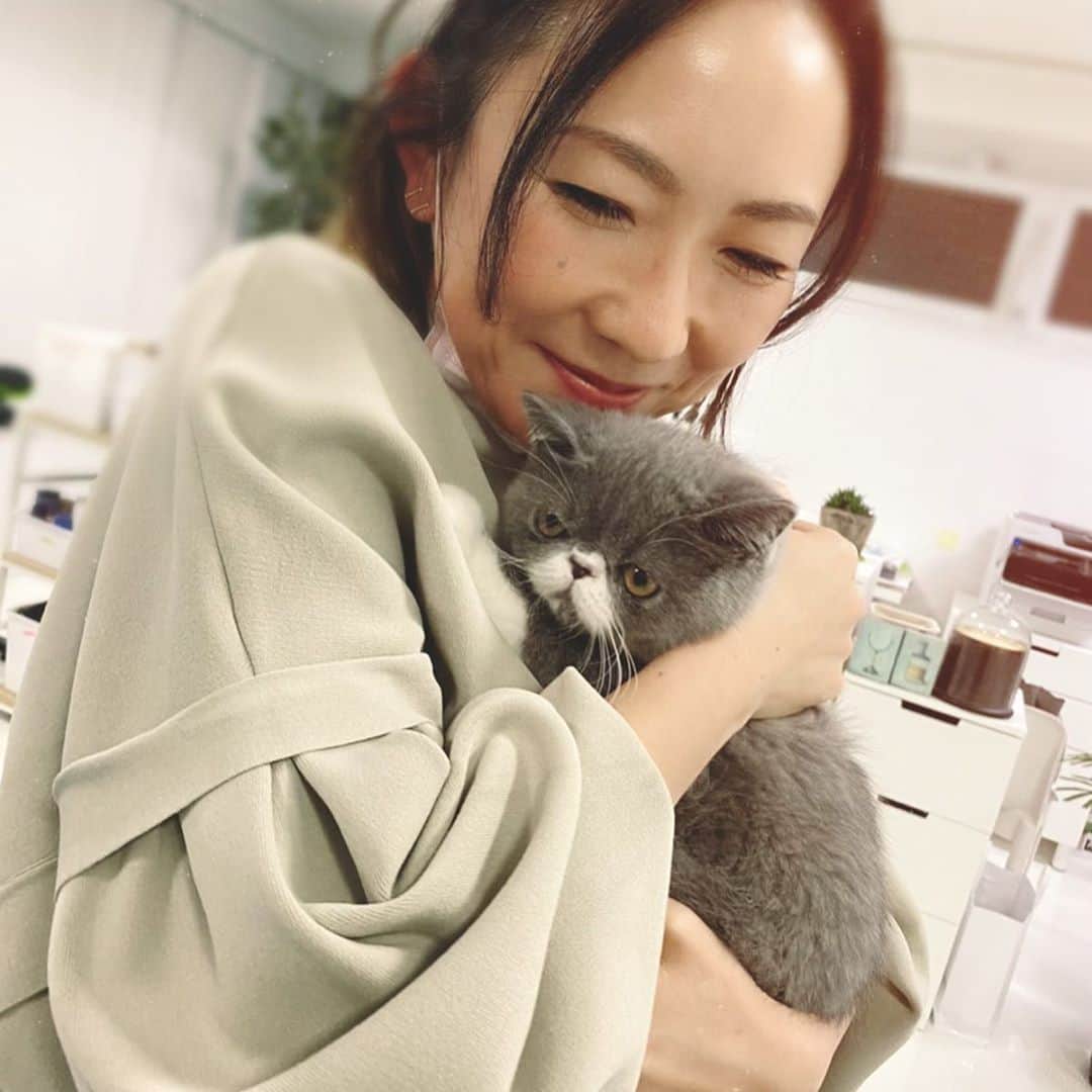 三浦加納子のインスタグラム：「ちぎりん @chigirakeiko の猫ちゃんふうくん  @foo_foo_cat1 に初対面😍　やんちゃで本当に可愛いくてメロメロでした❤️❤️ 無理やり抱っこしてゴメンね☺️  #猫好き　❤️」