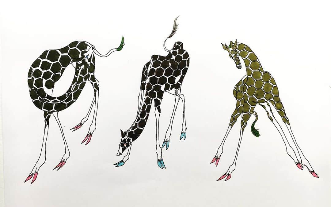 LiLi （矢野り々子）さんのインスタグラム写真 - (LiLi （矢野り々子）Instagram)「Giraffes  lili 13yrs old.  #giraffe  #麒麟 #矢野り々子」10月22日 22時48分 - liliko.y