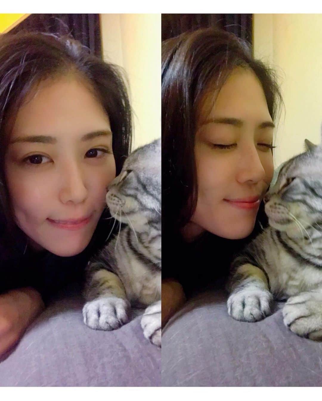 北内みさとさんのインスタグラム写真 - (北内みさとInstagram)「わー前に載せた投稿消えてた😳💦  実は最近事故に巻き込まれて、両親も泣かせてしまいました。。 これからは私の味方でいてくれる人を、もっともっと大事にしたいです🍒🥺💖  例えば、 こんな事するために、お母さんは私を産んでくれたんじゃないって、めっちゃ思い出すようにします🥺、、。  心配して連絡をくれていた方、お母さんお父さん、本当にありがとうございます😞そして、本当にごめんなさい。  支えてくれる人がいて本当に恵まれてるなって実感した🥺💕  最近気分転換に美容院やネイル行きました〜（いつもだけど） そして、引っ越しもしました！ どうしてもペット不可物件しかなかったので、動物は実家に帰りました。。本当にごめんね。 沢山撮りだめしたので、癒されてます🎀🐱  これからはたくさん美味しいもの食べるね🐻❤️  #catstagram #cat #Instagram #nail @nailsalonavarice_harajuku #flat #hairsalon #ありがとう #大好き #❤️」10月22日 22時50分 - unyn1992