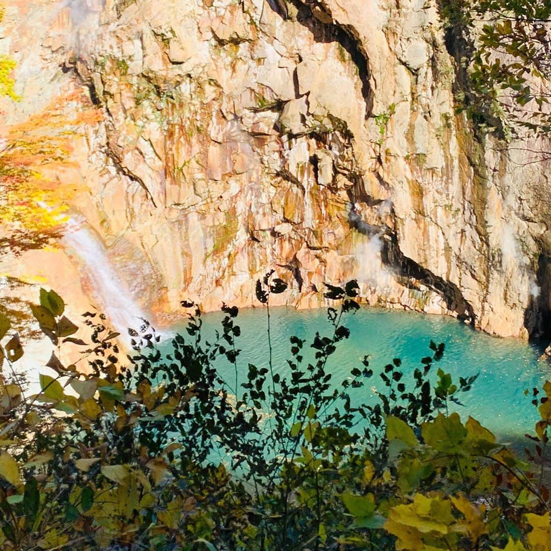 大隅智子さんのインスタグラム写真 - (大隅智子Instagram)「雫石町の葛根田渓谷に行ってきました！ 溶岩が作り出した玄武洞、鳥越の滝、滝ノ上温泉など、どこも綺麗に色づいていました。 今週末もまだ楽しめそうです！ #岩手　#雫石町　#玄武洞　#鳥越の滝　#滝ノ上温泉　#葛根田渓谷」10月22日 23時13分 - tomokotenki