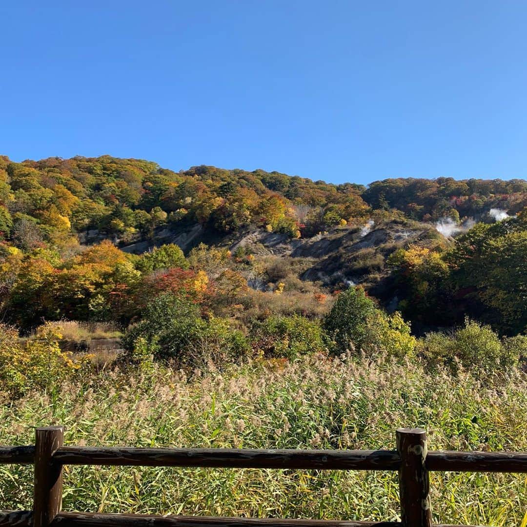 大隅智子さんのインスタグラム写真 - (大隅智子Instagram)「雫石町の葛根田渓谷に行ってきました！ 溶岩が作り出した玄武洞、鳥越の滝、滝ノ上温泉など、どこも綺麗に色づいていました。 今週末もまだ楽しめそうです！ #岩手　#雫石町　#玄武洞　#鳥越の滝　#滝ノ上温泉　#葛根田渓谷」10月22日 23時13分 - tomokotenki
