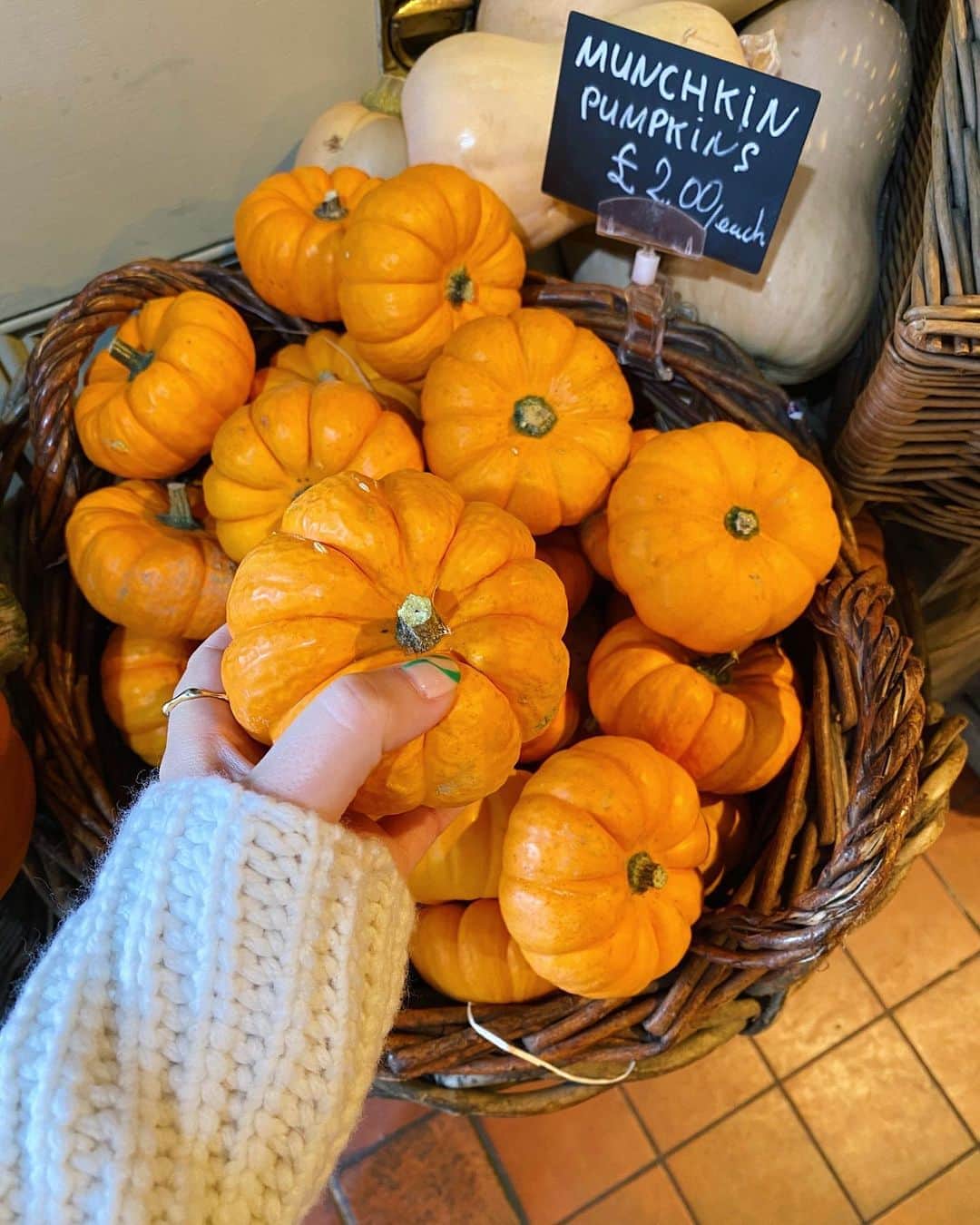 タニヤ・バーさんのインスタグラム写真 - (タニヤ・バーInstagram)「swipe to see a munchkin pumpkin 🥺🎃」10月22日 23時20分 - tanyaburr