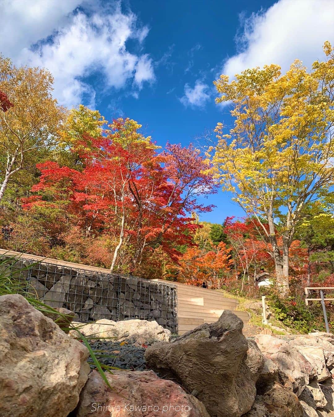 河野真也さんのインスタグラム写真 - (河野真也Instagram)「おととい、しあわせ散歩のロケで南区の紅桜公園へ。 紅葉が素晴らしかった！時間があまりなくて、写真を撮って回ることができず残念💦 今回の散歩にはゲストが！ もう３回目になる波瑠さんと、初の安田顕さん。 豪華で楽しくて素敵な散歩になりました。北海道の皆さん、放送をお楽しみに( ＾∀＾)  #イチオシ‼︎ #しあわせ散歩 #波瑠　さん #安田顕　さん #札幌市南区 #紅葉 #北海道愛がとまらない #紅桜公園 #ドライブ #写真 #北海道 #絶景 #秋 #10月」10月22日 23時26分 - okurahoma_kawano
