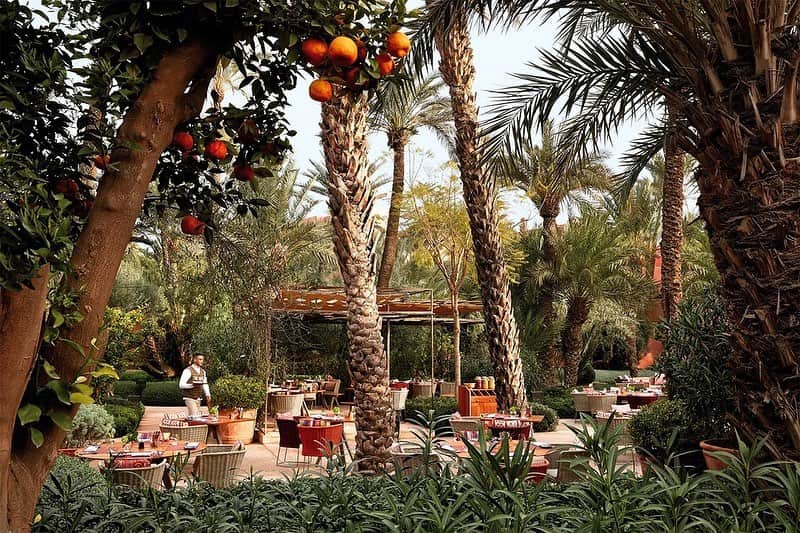 Vogue Parisさんのインスタグラム写真 - (Vogue ParisInstagram)「Lover of Marrakesh, @MarisaBerensonOfficial has brought about a book dedicated to the city. Filled with photographs each more beautiful than the last, greenery-filled riads meet vibrant markets and distant views of the Atlas Mountains among the pages of ‘Marrakech Flair’, published by @Assouline. To celebrate the release, she gave us her favorite addresses in the city - check them out on Vogue.fr」10月22日 23時31分 - voguefrance