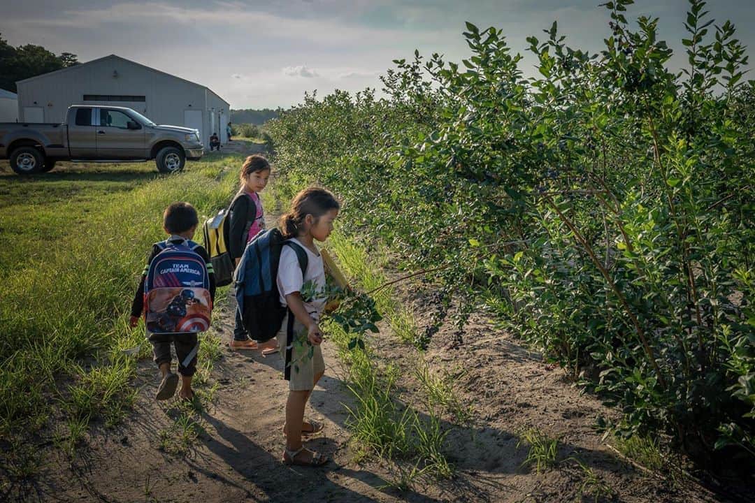 のインスタグラム：「Photos by @katieorlinsky / Children at a farmworkers' camp in Atlantic County, New Jersey. The hundreds of thousands of temporary agricultural workers who arrive in the U.S. each year often bring their children with them. One of the most surprising things I found while documenting blueberry farm workers in New Jersey this summer was that it is legal for minors over the age of 12 to work on farms, as long as it is not during school hours and they have written parental consent (or it's a farm where a parent is employed.) Typically farmworkers’ children can attend government-sponsored programs that provide free meals and education, and they also offer night classes tailored to the unique schedules of children who work. These programs were cancelled this year because of the pandemic. Parents can’t afford to stop working in the field, and many cannot afford childcare, so this summer many of the younger children ended up staying at the migrant camp for up to 15 hours a day, with only an older sibling or a grandparent to look after them.   Check out @natgeo’s link in bio for more on this story, created with the support of the @insidenatgeo COVID-19 Emergency Fund.」