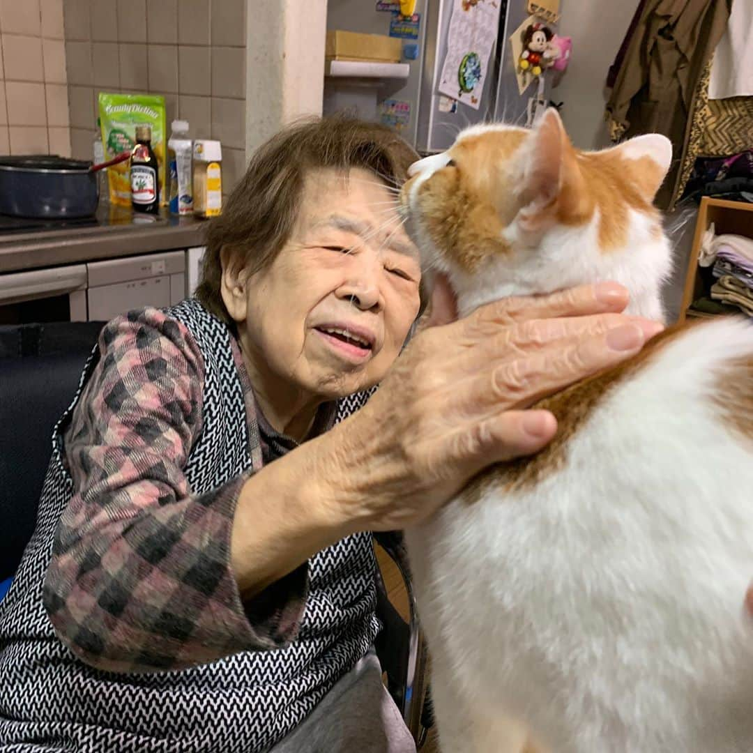 Kachimo Yoshimatsuさんのインスタグラム写真 - (Kachimo YoshimatsuInstagram)「やっとバーバさんになれたようだ。 #うちの猫ら #oinari #バーバ #バーバと猫 #猫 #ねこ #cat #ネコ #catstagram #ネコ部 http://kachimo.exblog.jp」10月22日 23時40分 - kachimo