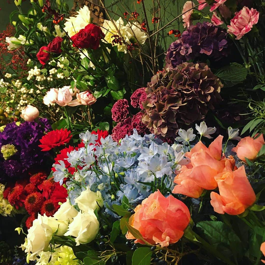 今村沙緒里のインスタグラム：「エルゼアール🌿🌹🦋 とても好きなお花屋さん。 連日、病院の付き添いで… クタクタでしたがお花に癒されました＊ 退院祝いのお花は赤系に お墓参りのお花は紫系に。 チャーミングな花束作ってくれました。 みんなが元気に！ いつも、素敵なセンスです💜 ・ Favorite flower shop！ "Elzeard"🌲🌿 ・ #flowers #cute #elzeard #꽃 #귀여워 #花 #エルゼアール #お花屋さん ❤︎」