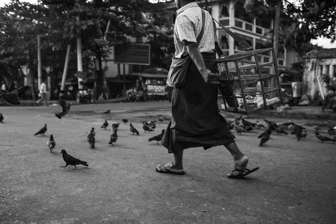 Cory Richardsさんのインスタグラム写真 - (Cory RichardsInstagram)「Sometimes less, or just enough, is more. Composition is inexact and subjective. Learn the rules to break them. But when you chose to break them, be intentional.」10月23日 0時10分 - coryrichards