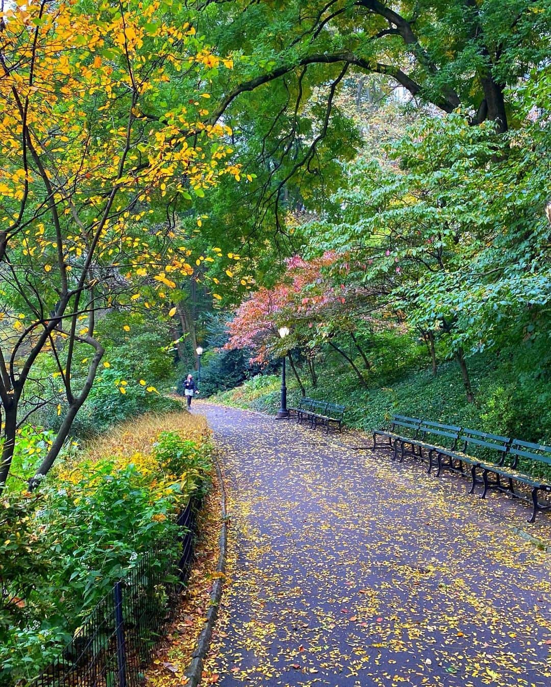 ラファエル・スバージさんのインスタグラム写真 - (ラファエル・スバージInstagram)「#autumn #newyork   A walk in the park leafs-me feeling fine. 😊」10月23日 0時30分 - raphaelsbarge