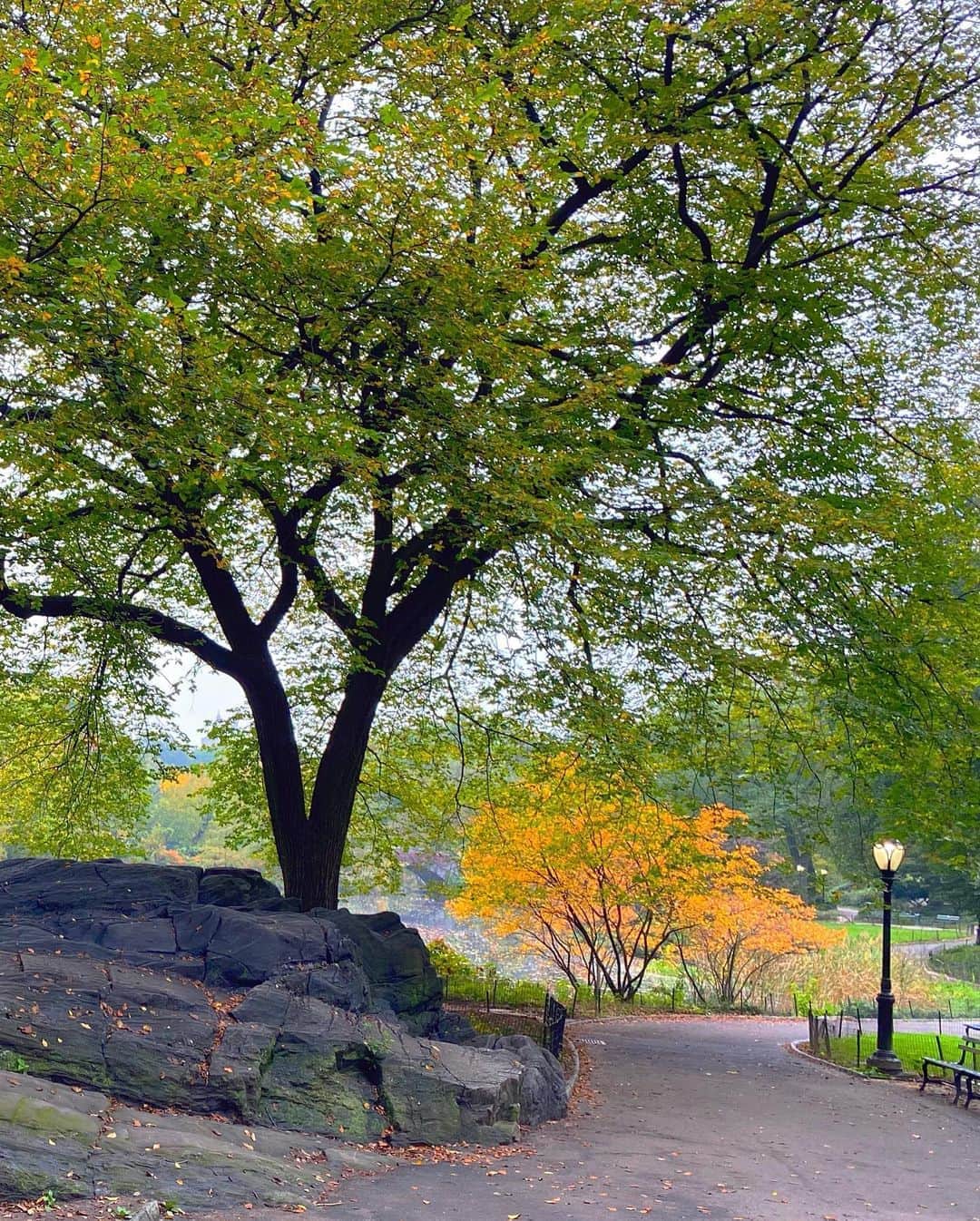 ラファエル・スバージさんのインスタグラム写真 - (ラファエル・スバージInstagram)「#autumn #newyork   A walk in the park leafs-me feeling fine. 😊」10月23日 0時30分 - raphaelsbarge