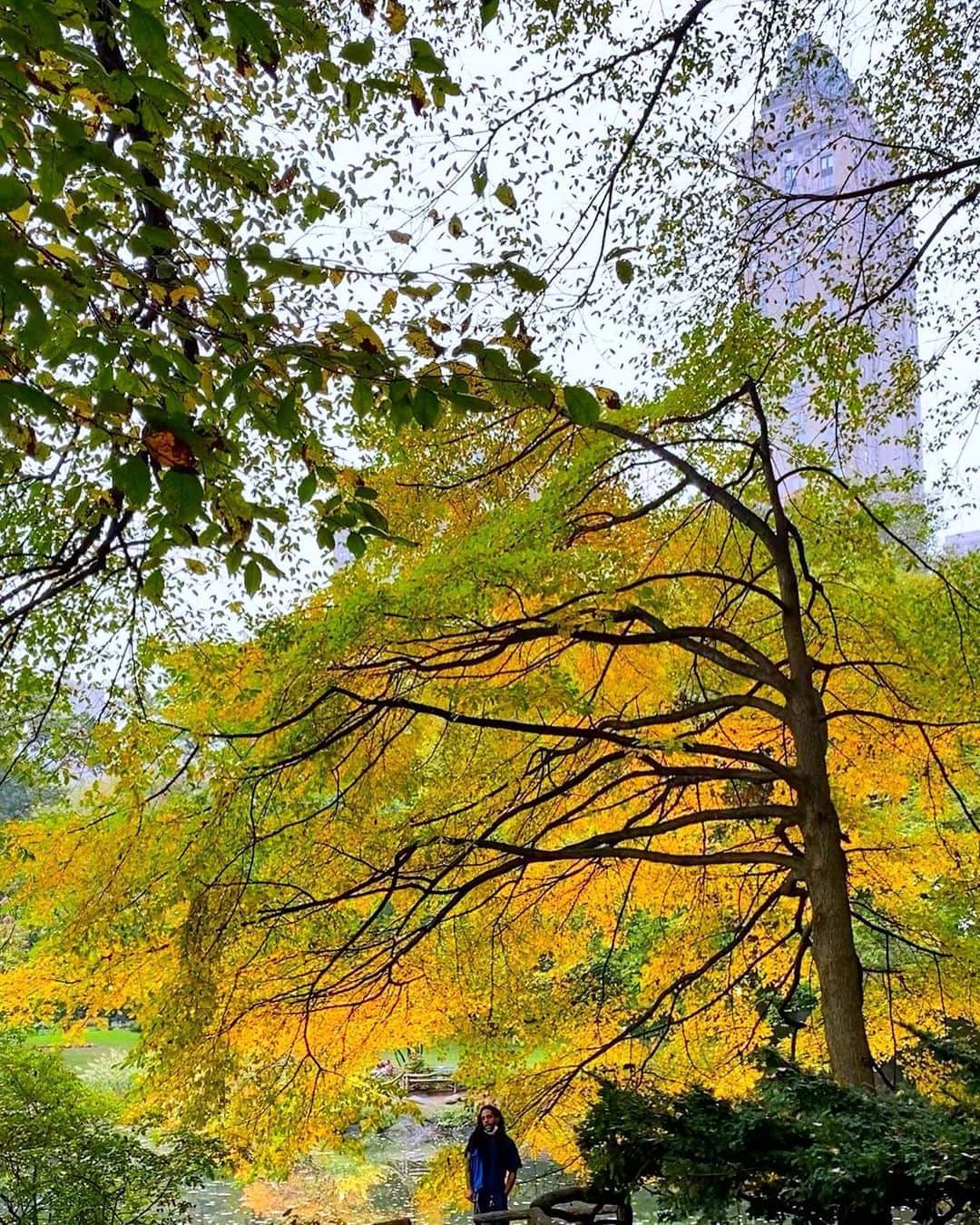 ラファエル・スバージさんのインスタグラム写真 - (ラファエル・スバージInstagram)「#autumn #newyork   A walk in the park leafs-me feeling fine. 😊」10月23日 0時30分 - raphaelsbarge