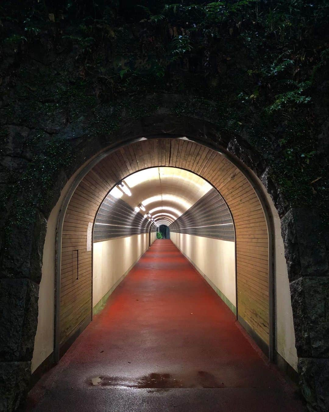 尚玄さんのインスタグラム写真 - (尚玄Instagram)「The tunnel to heaven.  #Travel #Japan #Fukuoka #SacredPlace」10月23日 0時36分 - shogenism