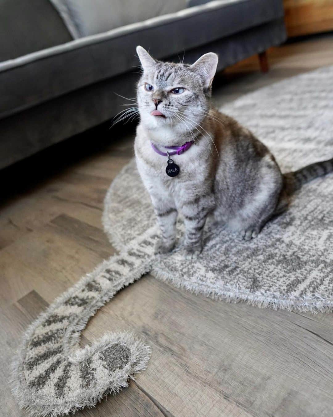 nala_catさんのインスタグラム写真 - (nala_catInstagram)「Thank you so much @antronhome for the super cute cat shaped rug. Not only is the style ,Toramaru, beautiful but it’s also pet-friendly. It’s stain resistant, anti-odor, and easily releases pet hair. Plus, the anti-slip feature is perfect for those 3a zoomies. I love it so much! #antronhome #アントロンホーム」10月23日 0時55分 - nala_cat