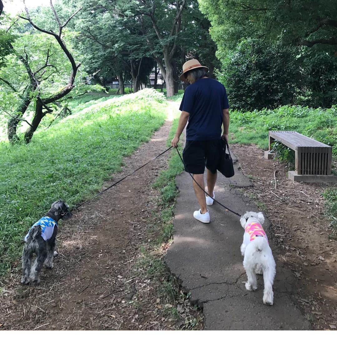 HiRAO INCさんのインスタグラム写真 - (HiRAO INCInstagram)「. 昨日、ランが穏やかに、微笑んで、目黒川を散歩しながら、空に旅立ちました  私の側にずーっといてくれたラン 最後まで、生きようと頑張ってくれました。  ウチの子になってくれて 心からありがとう 出会えてよかった 本当によかった  #mutsulann #mutsulannsora」10月23日 1時03分 - kayokohirao