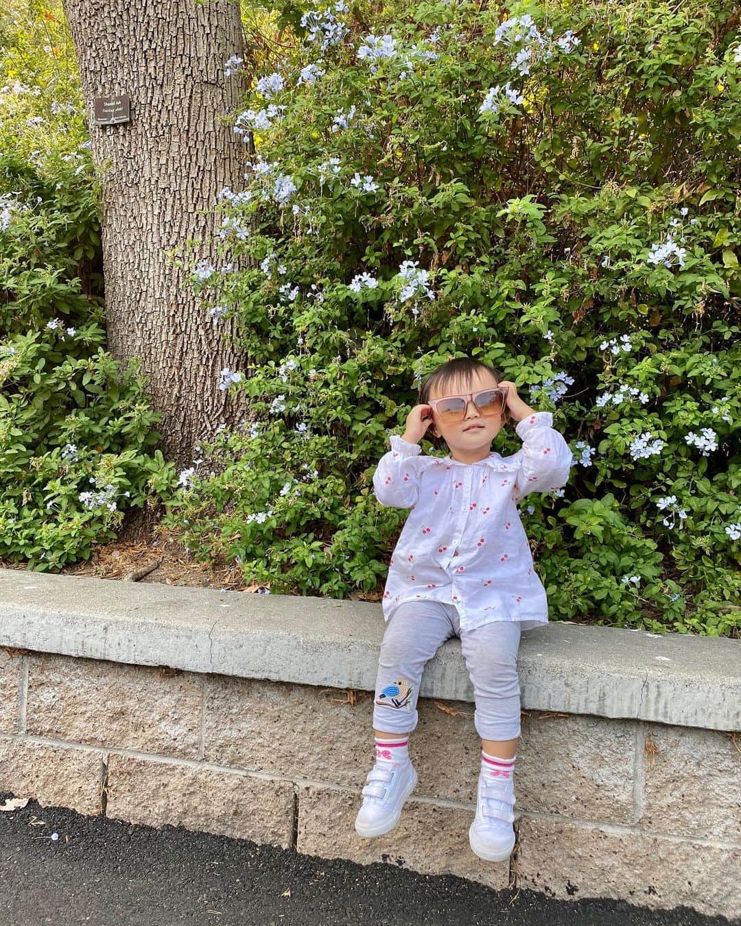 ルピン・ワンさんのインスタグラム写真 - (ルピン・ワンInstagram)「Zoo day🌿🐒🦍🦓🦒🦩🦌😊」10月23日 0時58分 - lupingwong