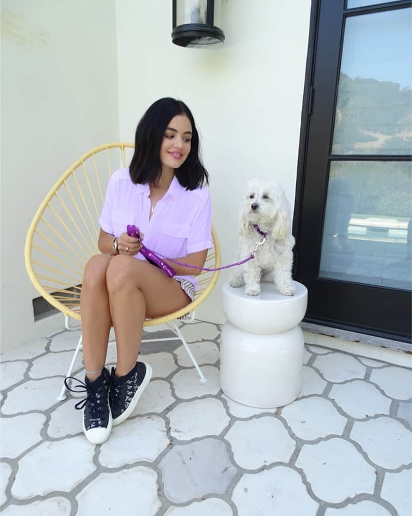 ルーシー・ヘイルのインスタグラム：「Animals are more than pets – they are family. Only about 10% of domestic violence shelters in the United States accept pets, leaving victims of domestic abuse without safe places to escape to with an important part of their support system. I'm honored to partner with @purina and @redroverorg to change that through the Purple Leash Project. (AD) The #PurpleLeashProject aims to convert existing domestic violence shelters so that they can become pet-friendly, because no one should ever have to choose between leaving a toxic environment and leaving their pet behind. In honor of #DomesticViolenceAwarenessMonth and today being #PurpleThursday, visit www.purpleleashproject.com to learn more and see how you can take the lead and contribute.」