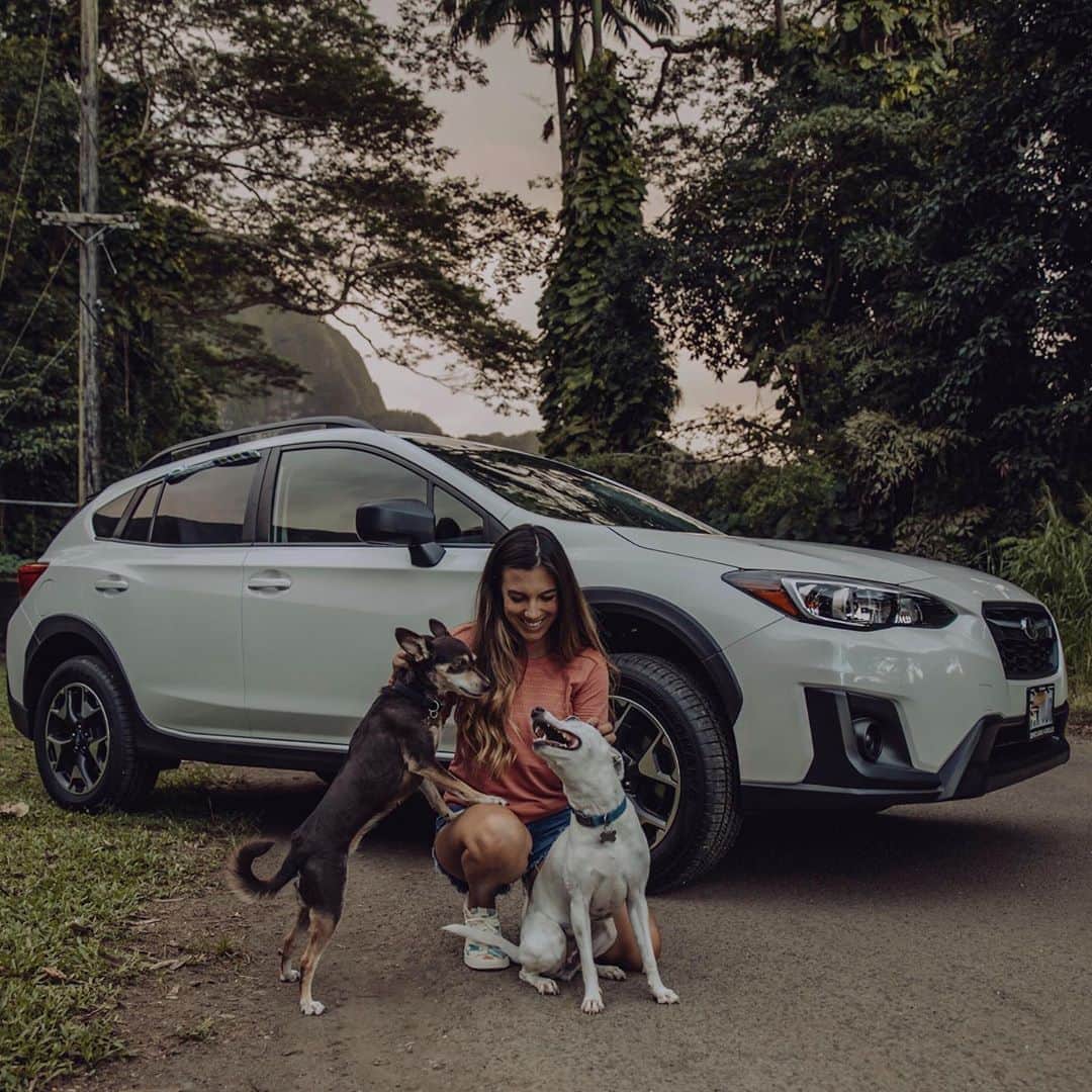 Subaru of Americaさんのインスタグラム写真 - (Subaru of AmericaInstagram)「"Thought it’d be fun to plan a quick shoot to celebrate my new car + and why I purchased a @subaru_usa — because of campaigns like today, #MakeADogsDay. Trying to spend my money in support of companies I believe in. Not only does Subaru have amazing safety ratings, or that they last a long time, they spread the message of adopting shelter pups. I found both of my dogs skinny + running around Kailua. We officially adopted them from the @hawaiianhumane. They’ve both been a handful, but I’m happy to share, I think we’re over the hump. They’re not perfect but they’re our angel babies and I don’t know what I’d do without their unconditional love. They celebrated #MakeADogsDay with a marsh walk, dad cooked them up a little meat, and they were showered with treats."  Use #MakeADogsDay to show us what you are doing special for your dog today!  (📸🗣️: @missybeachbum @marissaphillipsphoto)」10月23日 1時22分 - subaru_usa