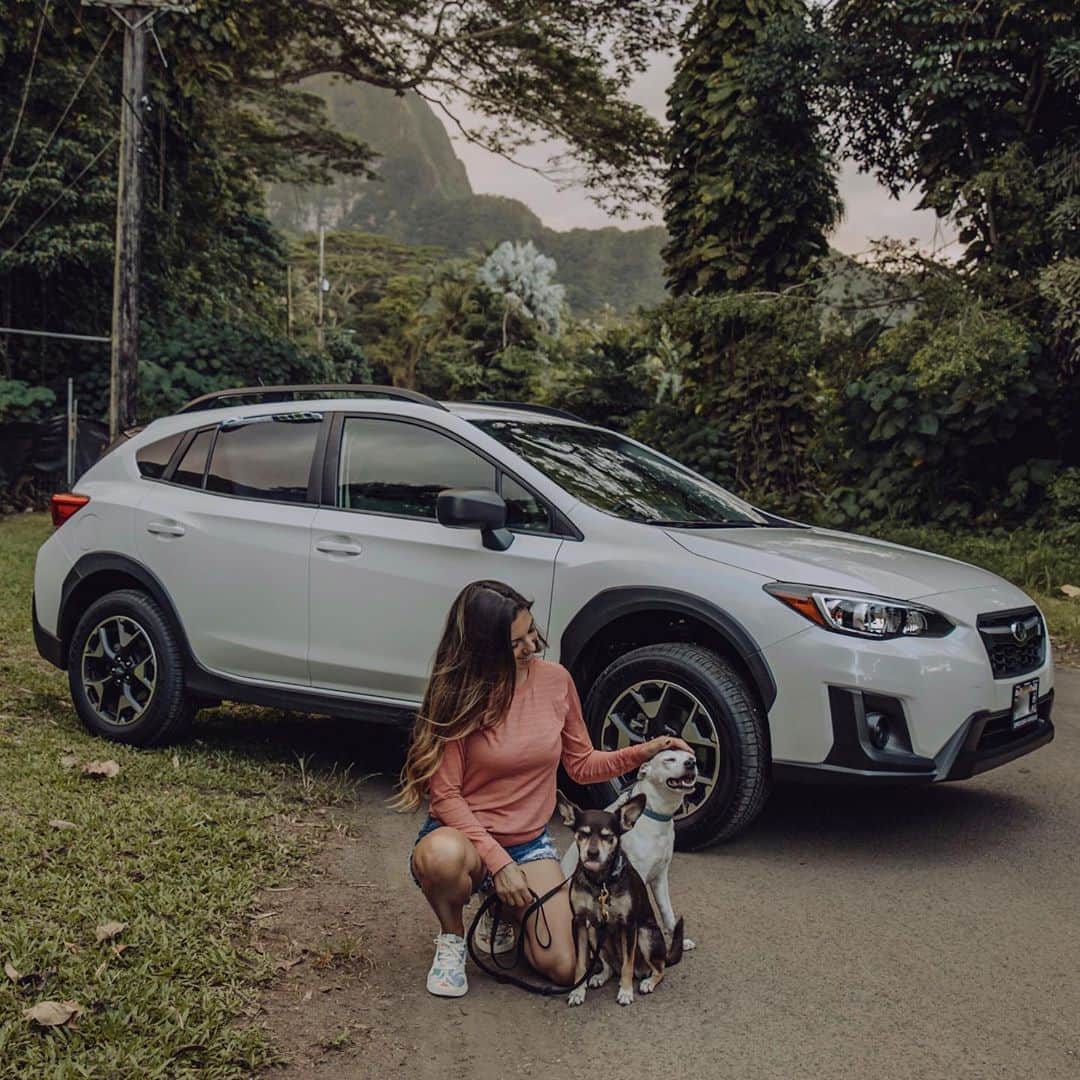 Subaru of Americaさんのインスタグラム写真 - (Subaru of AmericaInstagram)「"Thought it’d be fun to plan a quick shoot to celebrate my new car + and why I purchased a @subaru_usa — because of campaigns like today, #MakeADogsDay. Trying to spend my money in support of companies I believe in. Not only does Subaru have amazing safety ratings, or that they last a long time, they spread the message of adopting shelter pups. I found both of my dogs skinny + running around Kailua. We officially adopted them from the @hawaiianhumane. They’ve both been a handful, but I’m happy to share, I think we’re over the hump. They’re not perfect but they’re our angel babies and I don’t know what I’d do without their unconditional love. They celebrated #MakeADogsDay with a marsh walk, dad cooked them up a little meat, and they were showered with treats."  Use #MakeADogsDay to show us what you are doing special for your dog today!  (📸🗣️: @missybeachbum @marissaphillipsphoto)」10月23日 1時22分 - subaru_usa