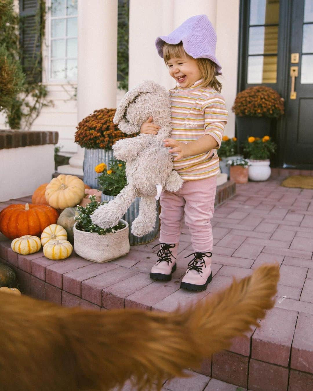 Amber Fillerup Clarkさんのインスタグラム写真 - (Amber Fillerup ClarkInstagram)「The way she looks at her pup 🥺 she absolutely adores him! You guys he is also 8 years old what the heck it makes me sad that he is getting old, he even has grey hair which is so cute. I gave Frank a little haircut today and she was so happy to be able to see again 😆 we tried growing them out but it was always in her eyes! Loving the little bob and bangs 🥰」10月23日 1時32分 - amberfillerup