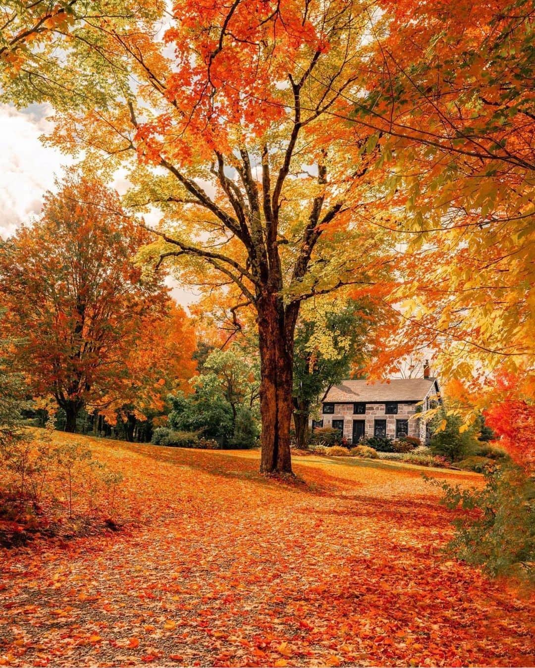 FOLKさんのインスタグラム写真 - (FOLKInstagram)「I feel this moral obligation to share @therollingvan’s amazing autumn images. You ought to be following!」10月23日 1時51分 - folkmagazine