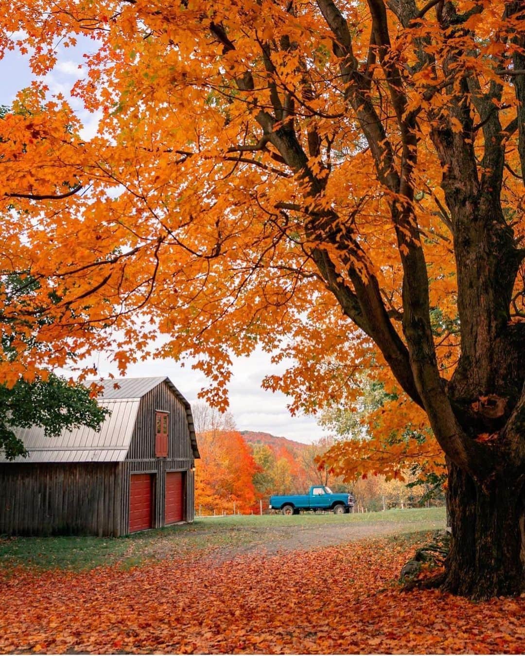 FOLKさんのインスタグラム写真 - (FOLKInstagram)「I feel this moral obligation to share @therollingvan’s amazing autumn images. You ought to be following!」10月23日 1時51分 - folkmagazine