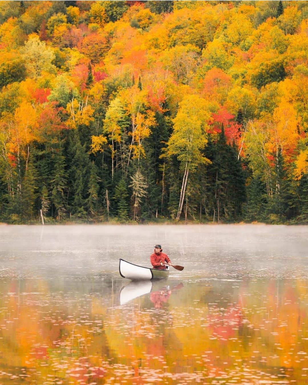 FOLKさんのインスタグラム写真 - (FOLKInstagram)「I feel this moral obligation to share @therollingvan’s amazing autumn images. You ought to be following!」10月23日 1時51分 - folkmagazine