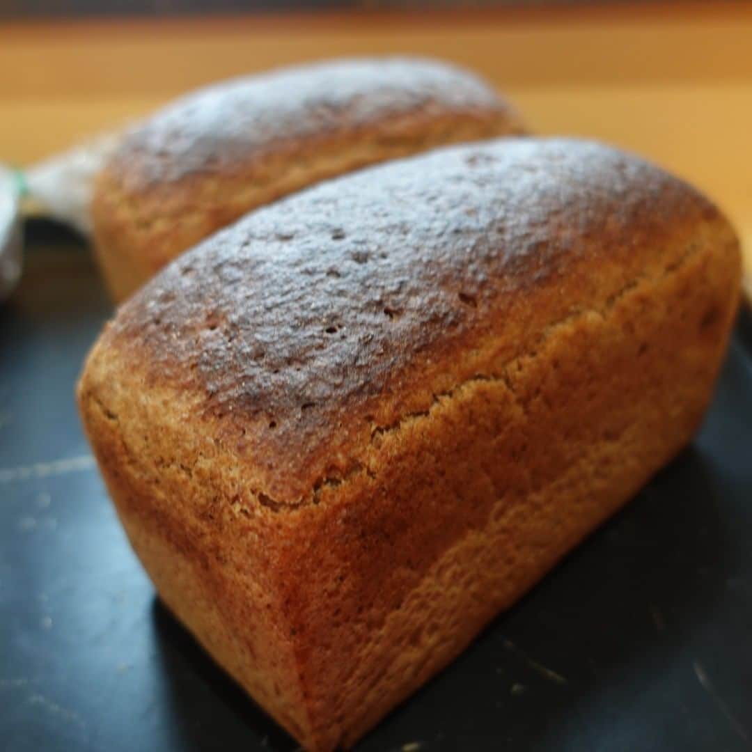 魔女菅原のグルメインスタ