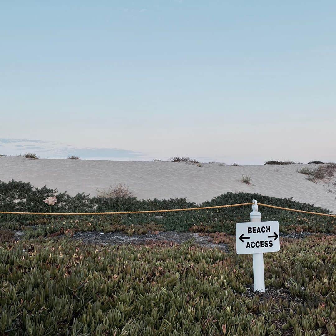 のインスタグラム：「Beach Access. Los Angeles, CA. MV」
