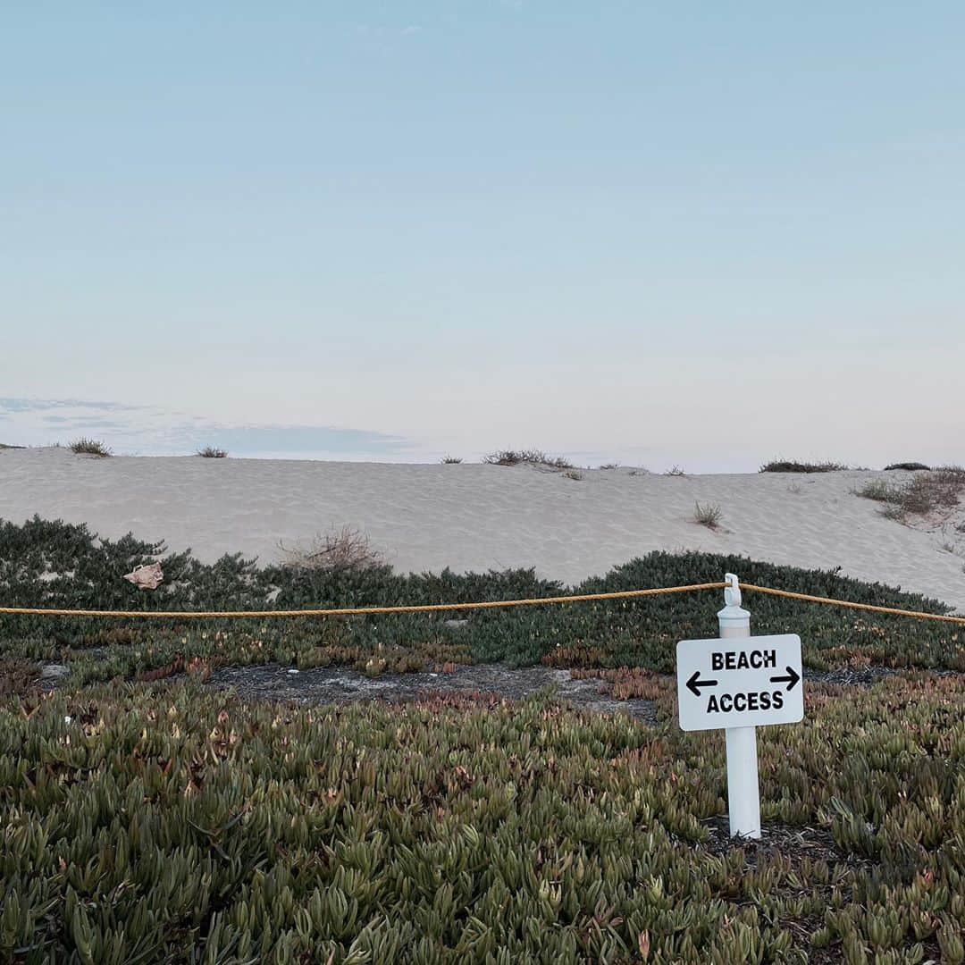 マイロ・ヴィンティミリアのインスタグラム：「Beach Access. Los Angeles, CA. MV」