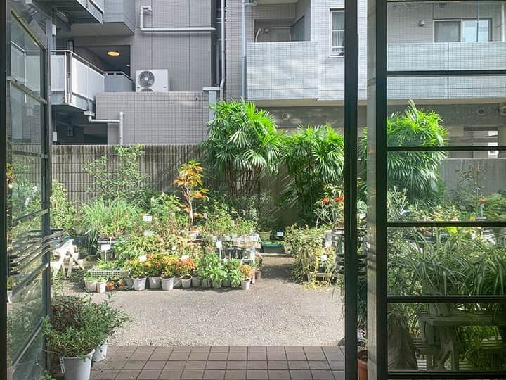 せたがやクラソンのインスタグラム：「『花に囲まれて暮らす家 303』﻿ ﻿ ・京王線芦花公園駅 徒歩3分 ・13万円・56.58㎡・3DK ___________________________________________________________________﻿  さて、今回のお部屋。 暮らすだけでうれしい特典がついてきます。 察しの良い方はお気づきでしょう。そうです、花です。  どんな風についてくるかというと、 1階がお花屋さんで、エントランスまでの道のり全部に季節の花が並んでいます。 お店の中を通って部屋に行くんです。 活き活きとした植物を見ていると、なんとも言えない幸福感で心臓がギャッとなります。  お部屋は築27年の3DK。 洋室がふたつに、和室がひとつ。年季のあるキッチンをかまえたダイニングキッチンと水まわり。 全体的に古さを感じます。が、お部屋も植物同様、ていねいに使ってあげると長生きしてくれます。  お店の花を眺めているだけで満たされる気もしますが、 あんなに活き活きとした顔をしてくれるなら、やっぱり一緒に暮らしたいな〜。  ▼この物件の詳細、﻿ そのほかのお部屋はプロフィールのリンクから﻿ @setagayakurasson﻿ ___________________________________________________________________﻿ ﻿ 「オンラインでお部屋探し」スタートしました！ ご相談お待ちしております。 ﻿ ﻿https://setagayakurasson.com/online _____________________________________________________________________﻿ ﻿ #せたがやクラソン #せたがやンソン #賃貸 #お部屋探し #オンラインお部屋探し #引っ越し #内見 #部屋 #ワンルーム #ひとり暮らし #ふたり暮らし #好きな街 #暮らしを楽しむ #キッチン #家具 #世田谷 #賃貸インテリア #リノベーション  #コンシェルジュ #世田谷のお部屋探し  #京王線 #芦花公園  #花のある暮らし  #暮らしを楽しむ #一緒に暮らす #植物のある暮らし  #朝時間  #お花屋さん #癒し  #ていねいな暮らし」