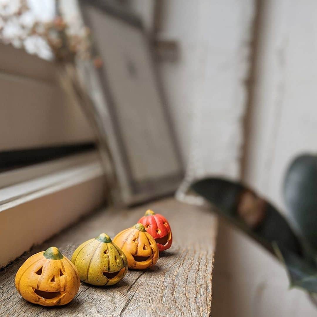 雨宮めるさんのインスタグラム写真 - (雨宮めるInstagram)「. ランチにふらっと立ち寄った @cafewall2014   オムライスもチーズケーキも美味 雑居ビルの中なのにそこだけ照明が素敵なおしゃれ空間 ハロウィン仕様の小物もタイプでした Wi-Fi環境なのも完璧✨  また来よう♡  #cafewall #shinjyukulunch #shinjuku #新宿カフェ #新宿ランチ #カフェウォール #新宿三丁目カフェ #新宿三丁目ランチ #カフェランチ #新宿カフェランチ #おしゃれカフェ #wifi完備 #wifi #オムライス #チーズケーキ #デザートセット #ハロウィン仕様 #ハロウィンインテリア #ハロウィン #インテリア好き #おしゃれなインテリア #ハロウィン小物」10月23日 11時40分 - amamiya_melty