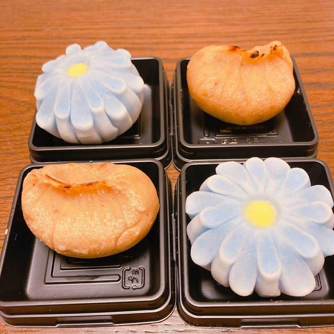 スピルリナのDICライフテック株式会社さんのインスタグラム写真 - (スピルリナのDICライフテック株式会社Instagram)「・ ・ とても繊細で美しいブルーのお花の練り切り💠 と焼き栗練り切り🌰 そしてチョコミン党から大人気の チョコミントシフォン💙💙 . これらは東京蒲田の和菓子処 清野さまで購入させていただきました☺️✨  . ブルーのお花の練りきりとチョコミントシフォンに スピルリナ由来の青　#リナブルー をご活用いただいています！  お花は爽やかな柑橘系の餡と色合いがマッチして絶妙においしい組み合わせ💙💠💙   チョコミントシフォンはふわっふわで優しいくちどけがたまらんです！ そしてオーガニックのミントオイル使用てやナチュラルだけどしっかりしたミント感がたまらなくおいしかったです💕 . 焼き栗の練りきりは栗以上に栗！！を感じるおいしさで、秋が口いっぱいに広がって幸せでした  😋🍁✨ . . 現在ハロウィン限定のかわいい練り切りも販売中とのことで、 是非蒲田周辺に行かれた際は @wagashi.kiyono  和菓子処清野さまにも足を運んでみてくださいね♪ . . #和菓子処清野 #蒲田和菓子 #和菓子屋さん #和菓子店 #練り切り#チョコミントシフォン#シフォンケーキ #スピルリナ青#天然着色 #dicスピルリナ #スピルリナ #秋のスイーツ#秋の和菓子　#栗のお菓子#ハロウィンスイーツ#ハロウィン和菓子#チョコミント#チョコミン党#チョコミント大好き #上生菓子 #練り切り#練り切りアート#フードアート #wagashi #japanesesweets #nerikiri #foodart #nonadditives #linablue #spirulina」10月23日 12時08分 - dic_spirulina