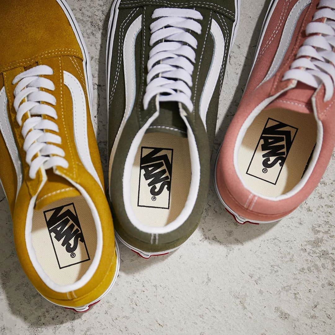 SHEL'TTER WEB STOREのインスタグラム