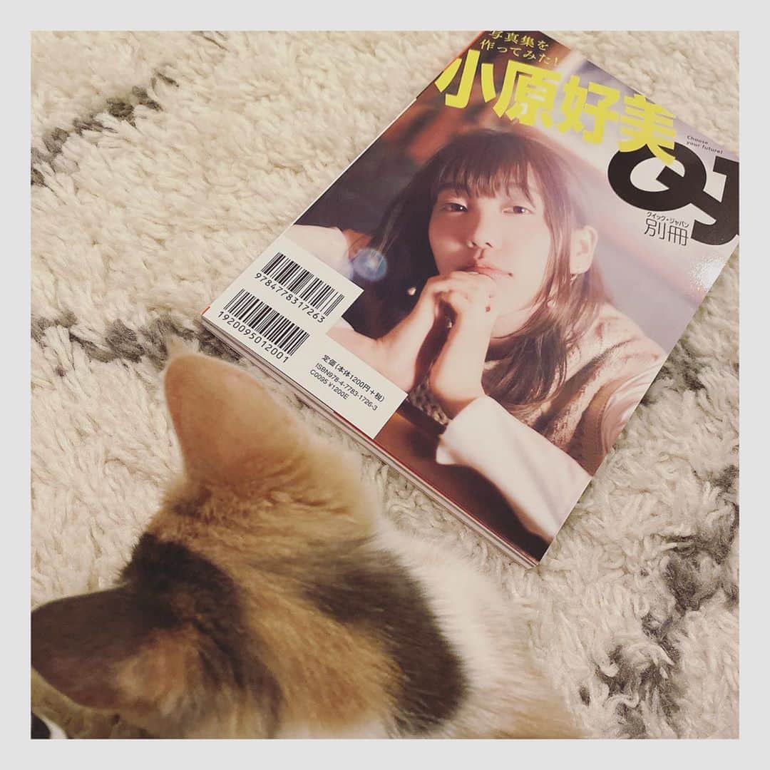 小原好美さんのインスタグラム写真 - (小原好美Instagram)「本日『QJ別冊 おそ松さん』が発売になりました(●´ー｀●)  ずっと楽しみにしていたので、本当に嬉しいです。 是非お手に取っていただけたらと思います。  よろしくお願いします！  #クイックジャパン #ミニ写真集 #コメントありがとうございます」10月23日 12時26分 - konomi_kohara0628