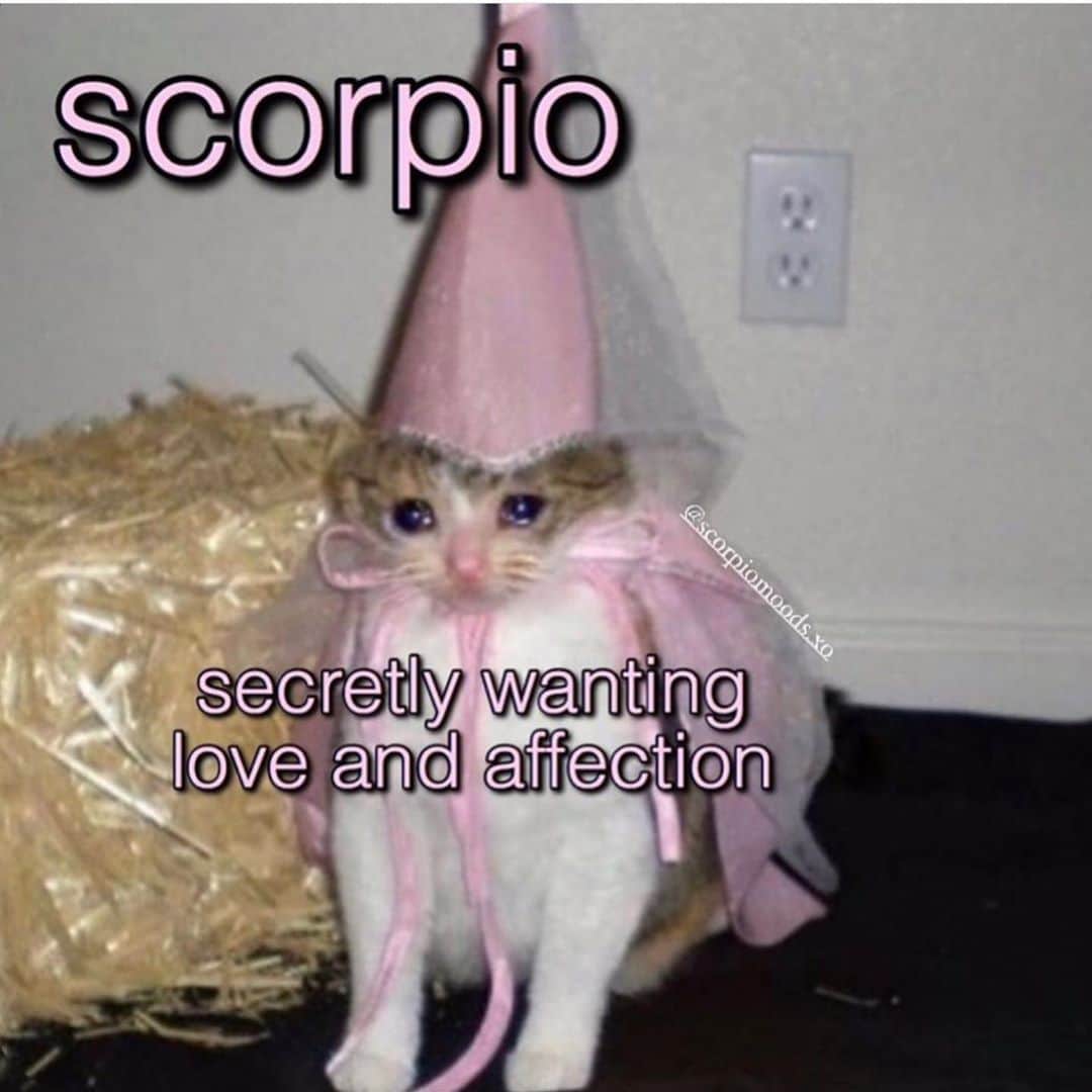ゾーイ・ドゥイッチのインスタグラム：「finally 🦂 season」