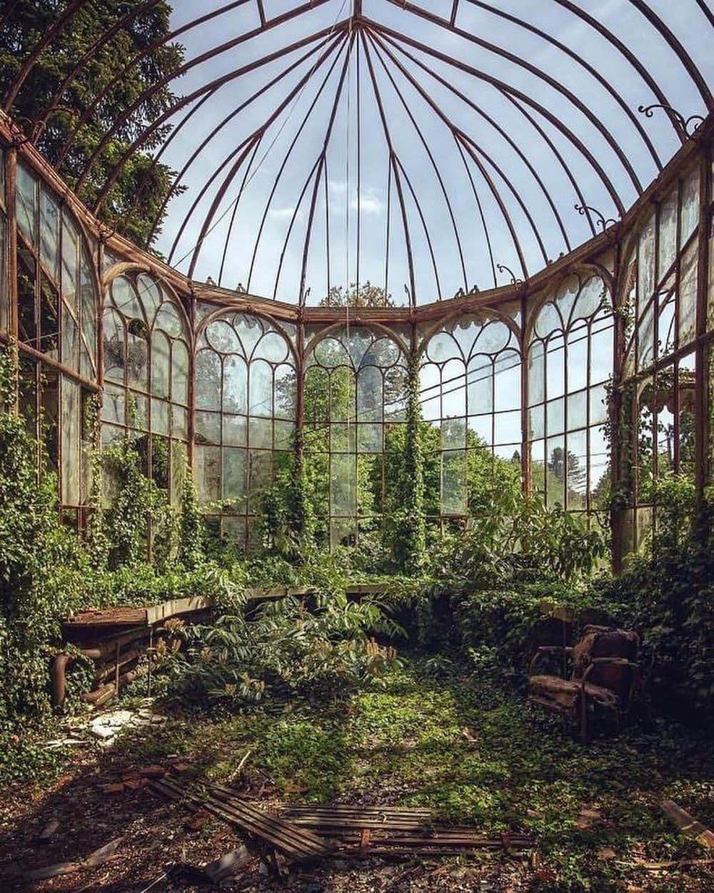 AnOther Magazineさんのインスタグラム写真 - (AnOther MagazineInstagram)「#GorgeousGardens – an ethereal abandoned conservatory in Belgium 🌿⁠⠀ ⁠⠀ RG @steffan, photography by Mathias Mahling 🔁」10月23日 4時56分 - anothermagazine