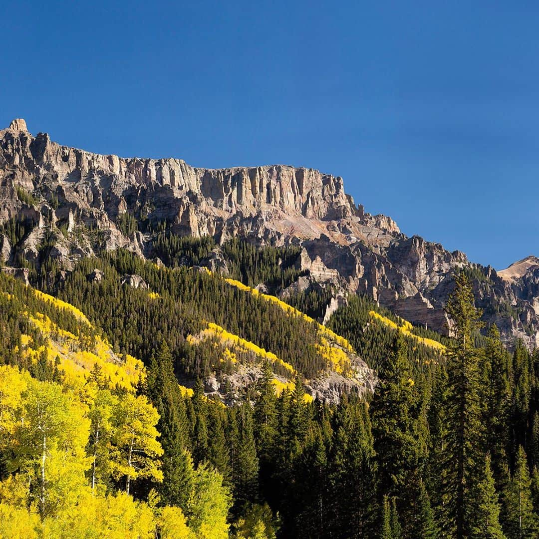 National Geographic Travelさんのインスタグラム写真 - (National Geographic TravelInstagram)「Photo by @stephen_matera / Mountains rise above aspens in autumn in Uncompahgre National Forest. Late September and early October bring a blaze of color to the mountains of southern Colorado. Follow me @stephen_matera for more images like this from Colorado and around the world. #autumn #aspen #uncompaghre」10月23日 5時43分 - natgeotravel