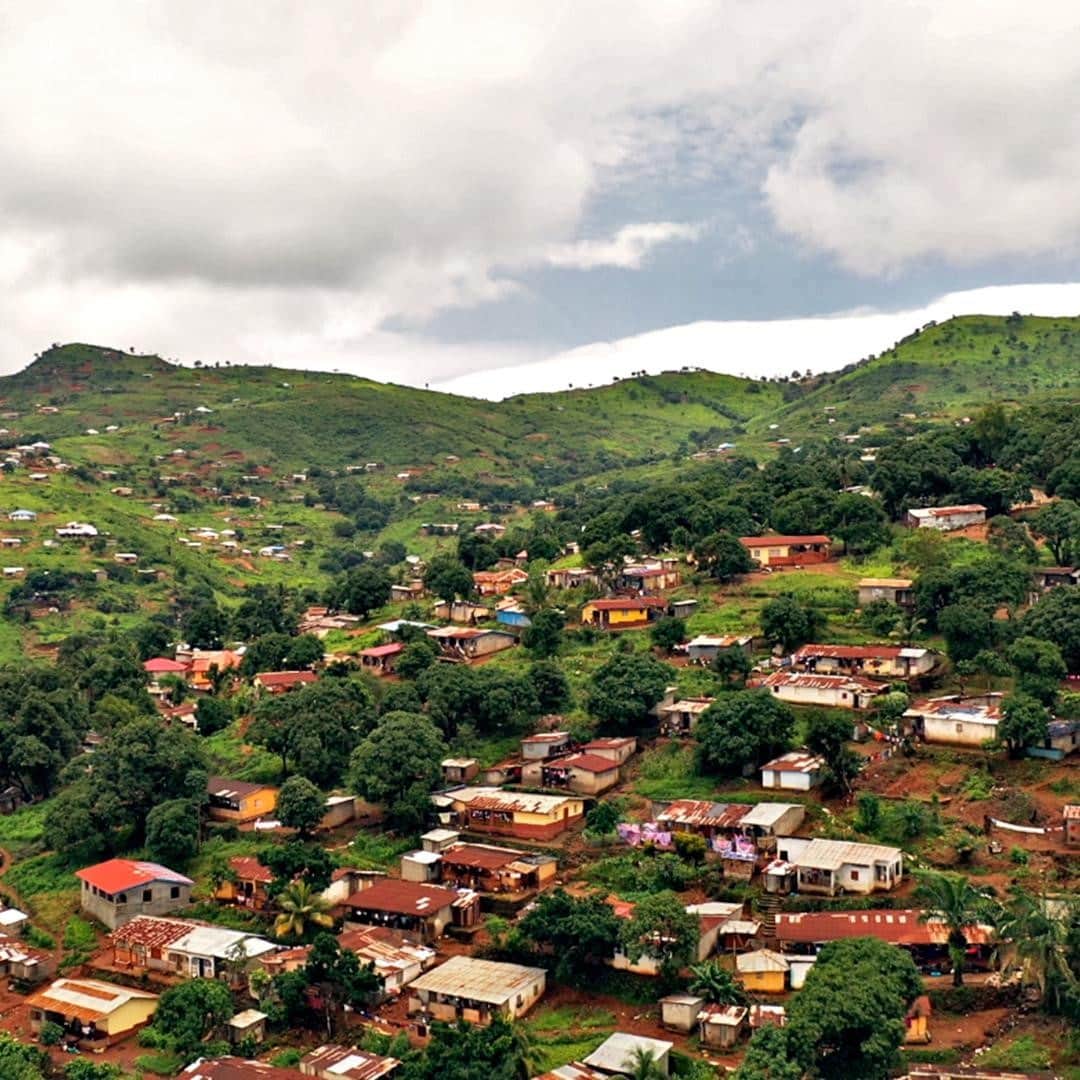 TED Talksのインスタグラム：「Let’s talk 🌳🌳🌳! After years of extreme rains and a devastating landslide in 2017, Yvonne Aki-Sawyerr (@yvonneakisawyerr) could see clearly that climate change was wrecking her home of Freetown, Sierra Leone. So she ran for mayor — and won! Now, her administration has a big goal: Plant one million trees in the next two years — and invite everyone to join in. Over the past year, the city has nursed 15 (!) different species of trees and is now undergoing the process of planting them outside of homes, schools, offices, public spaces and more! The goal of all this new greenery? To reduce the risk of future landslides and flooding, reintroduce biodiversity to the area, and also help trap excess carbon in the air. To learn more about how the people of Freetown are tackling this ambitious project, click the link in our bio.」
