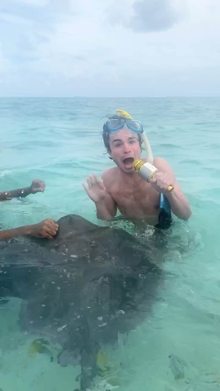 DYLAN MULVANEYのインスタグラム：「*no sting rays were harmed in the making of this reel* 😂💕」