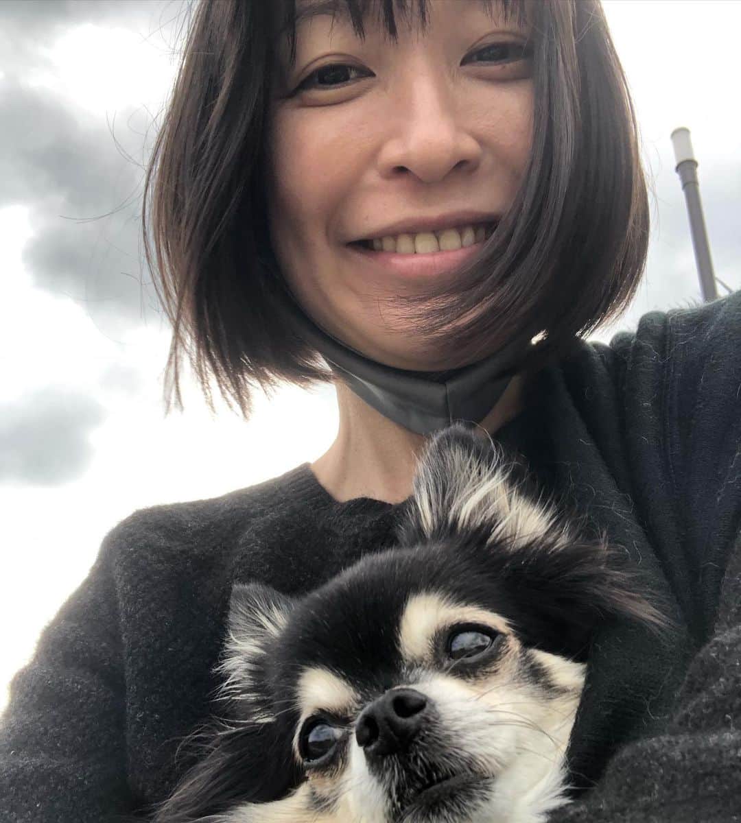 小野真弓さんのインスタグラム写真 - (小野真弓Instagram)「おはようございます😊 雨上がりの、雲が重い朝☁️☔️霧がもくもく うろこ雲が出ると雨が降る説、再確認😲✨ 田舎に引っ越して、自然から沢山教えて貰ってます🌴^ ^ 今日も良い一日を🌈 平和でありますように🍀 #チワワ#ハナちゃん #チワマル#ハルくん #ドッグラン#いぬばか部 #いぬすたぐらむ #chihuahua #maltese #mixdog #doglover #dogstagram #dogpark #ラム肉#好物#はんぶんこ#いちごボール#うろこ雲#昨日の空#犬のいる暮らし#千葉暮らし#山#ちわわせ わんこサービス強化day✨*\(^o^)/* ウハウハのハナハル🐶🐶🍓🍖🌱 一緒に走り回りゼイゼイのかーさん🙋‍♀️💨」10月23日 6時58分 - hanaharuaroi