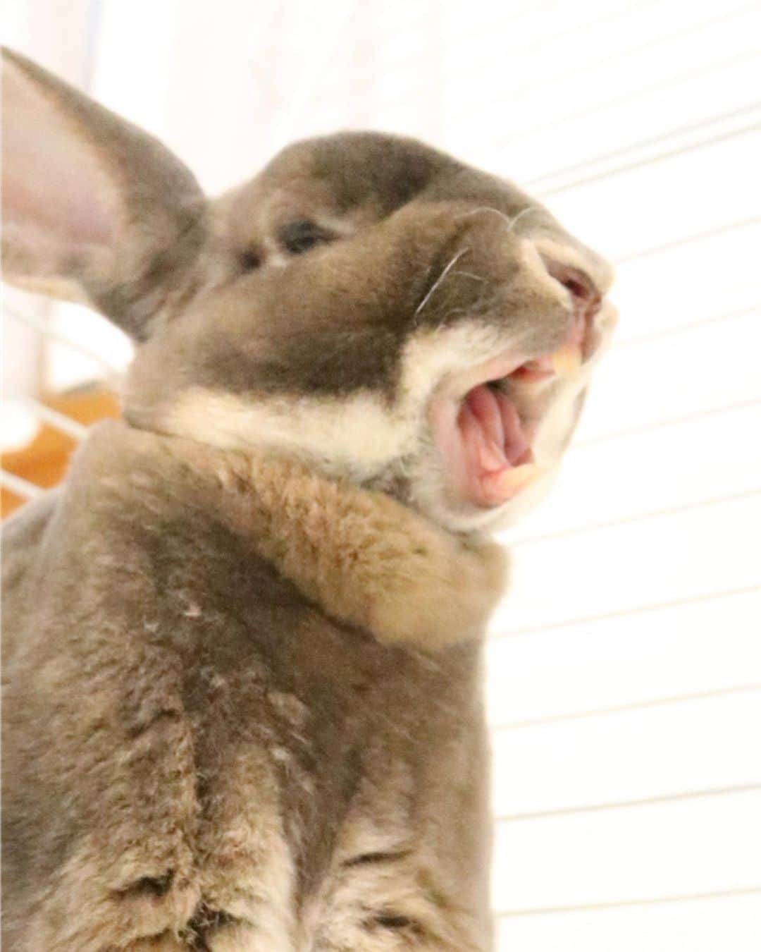 Kayoさんのインスタグラム写真 - (KayoInstagram)「タカシオカムラおめでと〜㊗️ 親戚ちゃうけどなんか嬉しい♡ 今ちゃんが心配やけどww」10月23日 7時07分 - kayosaaku