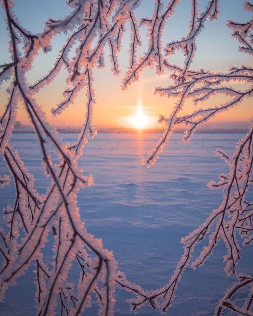 Canon Photographyさんのインスタグラム写真 - (Canon PhotographyInstagram)「Magical Finland 🇫🇮 🤩 Photography // @jukkarisikko Curated by @steffeneisenacher  #finland #winter #autumn #seasons #lapland」10月23日 7時28分 - cpcollectives