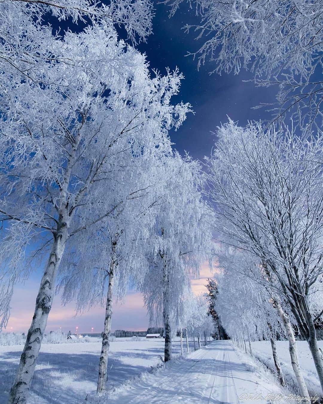 Canon Photographyさんのインスタグラム写真 - (Canon PhotographyInstagram)「Magical Finland 🇫🇮 🤩 Photography // @jukkarisikko Curated by @steffeneisenacher  #finland #winter #autumn #seasons #lapland」10月23日 7時28分 - cpcollectives