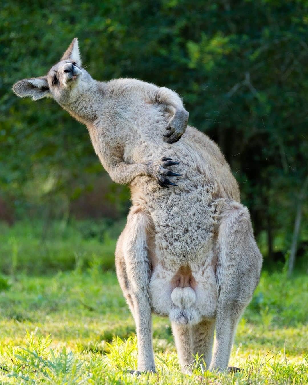 Nikon Australiaのインスタグラム