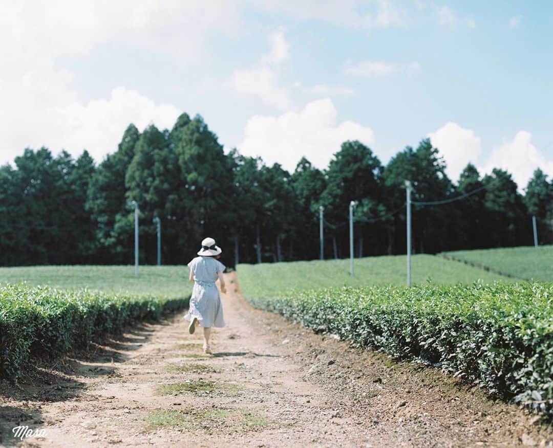 Masaさんのインスタグラム写真 - (MasaInstagram)「. . . ▶︎▶︎▶︎ Swipe . 茶畑でも、ちょっと走ってきてって言うと、はい！ って走ってくれるかなみちゃん😂 . 週末は天気も良さそうですね☺️ . 撮影日 : 2020年8月29日 . #まさペン #ヤマプリ #pentax6x7 #バケペン #instagramjapan #igersjp #tokyocameraclub #art_of_japan_ #photogenic_jp #GPW_members_only #good_portraits_world #film_jp #film #フィルム #film_com #filmcamera #filmphotography #portrait #ポートレート #photogram_archive #todays_blue_collection #team_jp_ #滋賀 #shiga #茶畑」10月23日 7時58分 - masa_nikonist