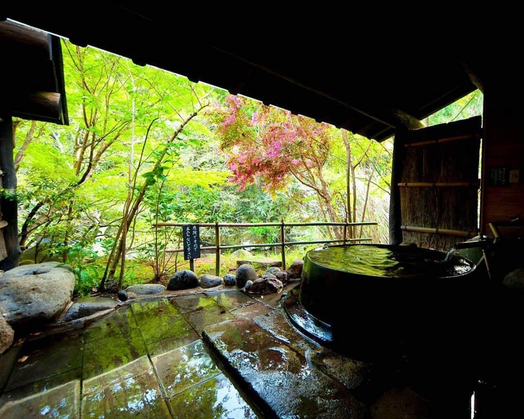 JAPAN TRIP 大人旅〜厳選の宿〜さんのインスタグラム写真 - (JAPAN TRIP 大人旅〜厳選の宿〜Instagram)「#大分 #天ヶ瀬 の#山荘天水 です。  #大人旅_厳選の宿 #大人旅jp #そうだ旅に出よう #旅行 #温泉 #露天風呂 #旅館 #露天風呂付き客室 #ホテル #大人旅 #国内旅行 #旅行好きな人と繋がりたい #旅行に行きたい #withコロナ #gototravel #otonatabi #japan #japantrip #japantravel #trip #travel #onsen #ryokan #luxury #hotel #hotsprings」10月23日 8時18分 - otonatabi_jpn