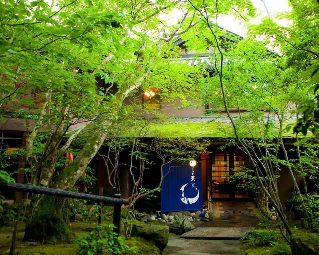 JAPAN TRIP 大人旅〜厳選の宿〜さんのインスタグラム写真 - (JAPAN TRIP 大人旅〜厳選の宿〜Instagram)「#大分 #天ヶ瀬 の#山荘天水 です。  #大人旅_厳選の宿 #大人旅jp #そうだ旅に出よう #旅行 #温泉 #露天風呂 #旅館 #露天風呂付き客室 #ホテル #大人旅 #国内旅行 #旅行好きな人と繋がりたい #旅行に行きたい #withコロナ #gototravel #otonatabi #japan #japantrip #japantravel #trip #travel #onsen #ryokan #luxury #hotel #hotsprings」10月23日 8時18分 - otonatabi_jpn
