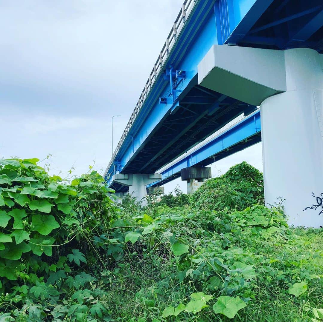 山内圭哉さんのインスタグラム写真 - (山内圭哉Instagram)「世の皆様、朝からお仕事御苦労様で御座います。 私もここ最近はかなり早朝から仕事させて頂いております。 こんなとかや、あんなとこで。 また時期来ましたら、御報告させて頂きます。」10月23日 8時30分 - yamauchi_takaya